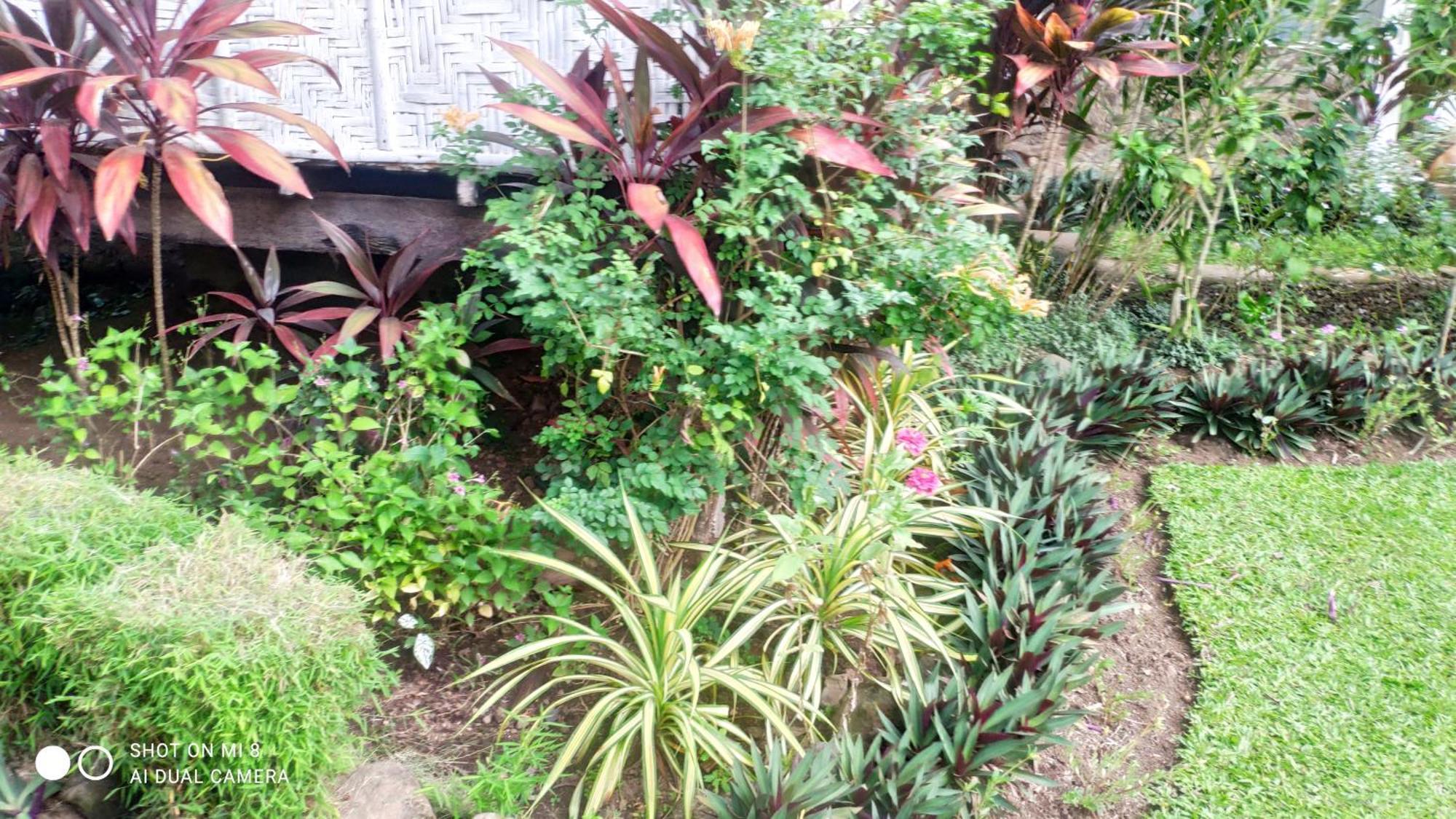 Sun House Rental Mambajao Exterior foto